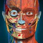 Anatomy Learning(解剖学) v2.1.425 高级版