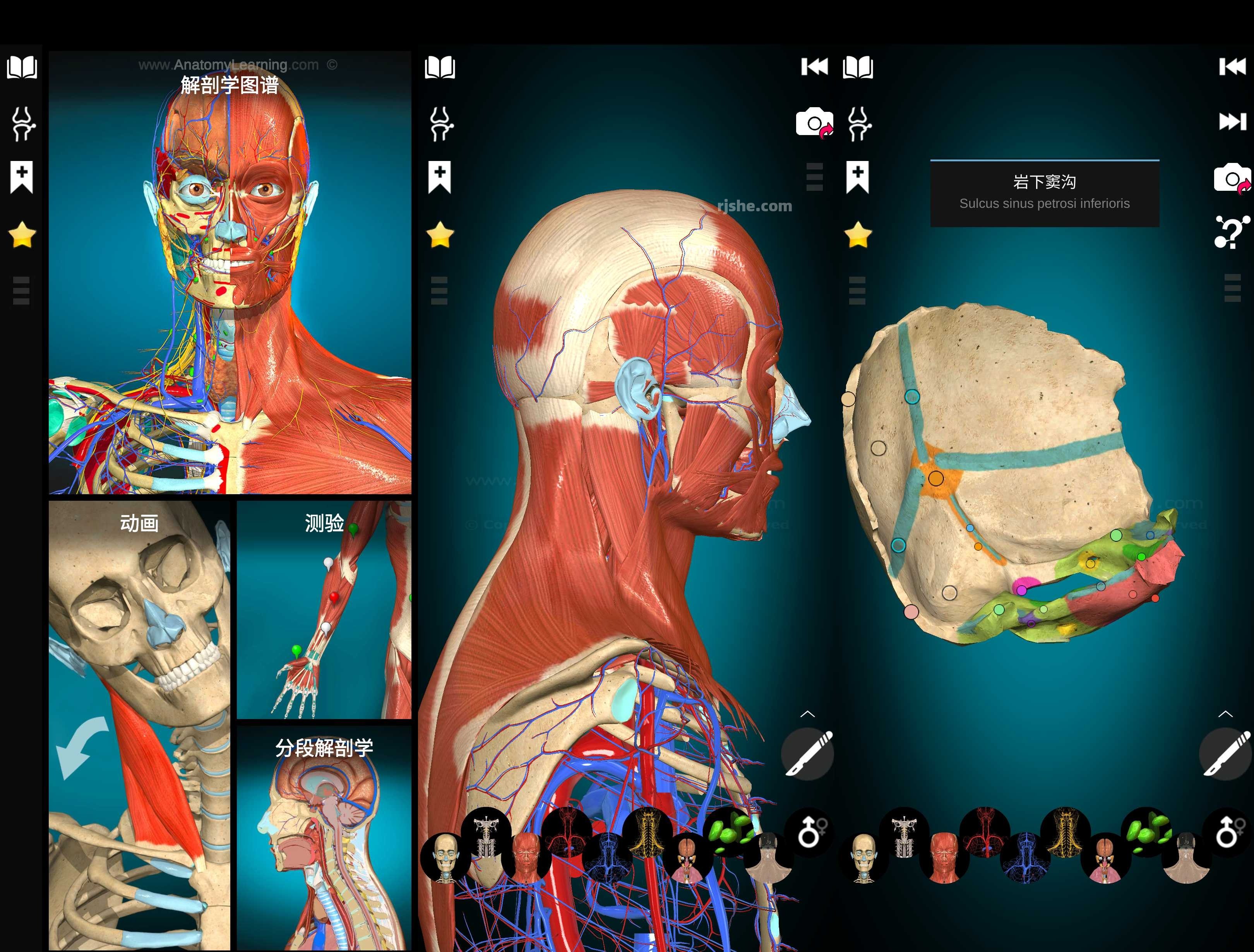 Anatomy Learning(解剖学) v2.1.425 高级版